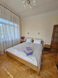 Old Riga apartment next to St Peters church