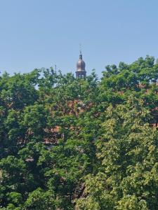 Old Riga apartment next to St Peters church