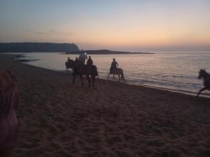 Antica casa scano img53