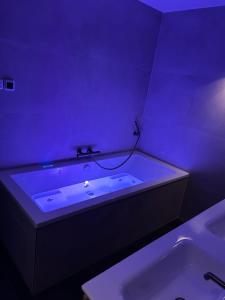 B & B Huize Hertog met Whirlpool