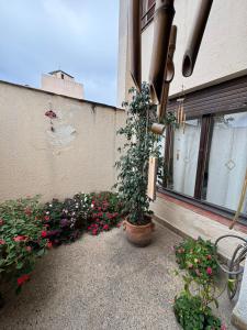 Habitación individual, excelente ubicación