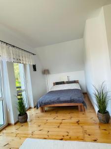 Dom przy lesie Małe Swornegacie