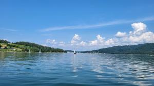 Domek nad Soliną 50 m od jeziora - Zawóz