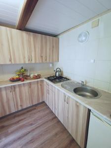 Domek nad Soliną 50 m od jeziora - Zawóz