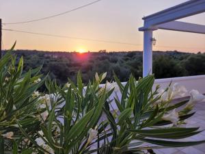 Villa Paradisos Archangelos