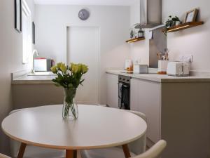 Dinas Lodge - Uk47607