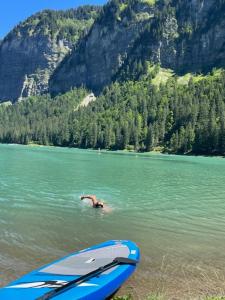 B&B / Chambres d'hotes B&B Boutique Chalet Nono : photos des chambres