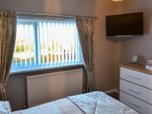 Seashells By The Sea