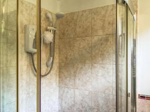 Nolton Haven - Giddy Puffin