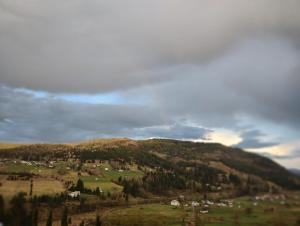 Cabana Dumbrava Cerbilor