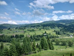 Cabana Dumbrava Cerbilor