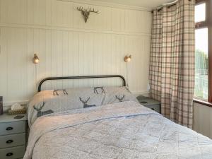 Nolton Haven - Giddy Puffin