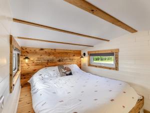 Fox Tiny House- Uk47395