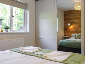 Dinas Lodge - Uk47607