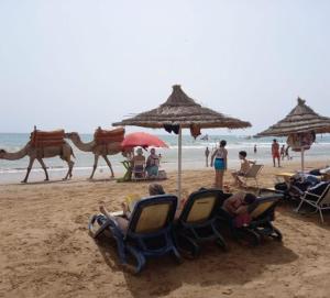 Appartements du Sud Mirleft