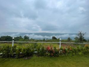 The Breeze Valley