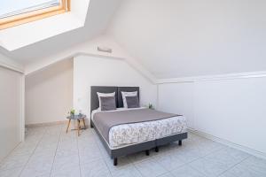 Sejours chez l'habitant Marc's Flat - Calm & Cosy : photos des chambres