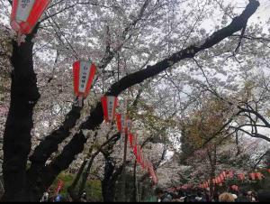 103号 山手线近上野一站温馨新公寓