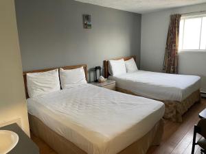 Motel Lustre Dor
