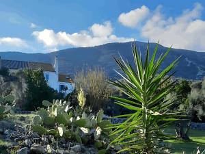 Villa Karolina Großes Ferienhaus Meerblick 2000qm Garten Familien Gruppen Insel Lošinj