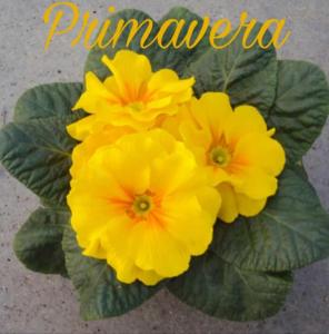 Casa Vancaza Avventura