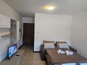 Appartamento Monolocale con 1 Letto Matrimoniale