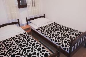 Apartments with parking space Vir - Lozice, Vir - 21047