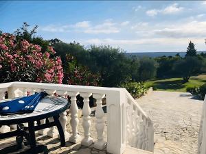 Villa Karolina Großes Ferienhaus Meerblick 2000qm Garten Familien Gruppen Insel Lošinj