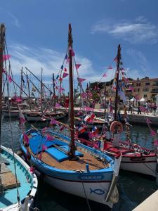 Appartements Casa Sana sur le port : photos des chambres