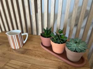 Appartements Casa Sana sur le port : photos des chambres