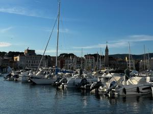 Appartements Casa Sana sur le port : photos des chambres