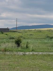 Cozy Tiny Cabin Meadow