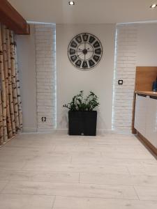 Stara Kamienica pod Białym Łabędziem