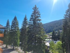 Spinale Duplex Apartment MhD
