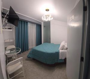 LAS GAVIOTAS DE PARACAS