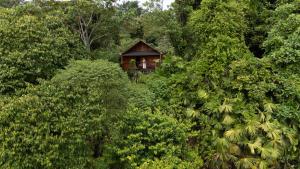 Solana Mar y Selva Boutique - Ubytování bez kategorie ve městě Bahía Solano