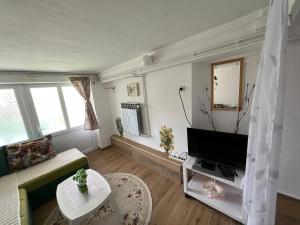 Apartments Obradović Milan