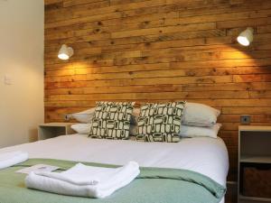 Dinas Lodge - Uk47607