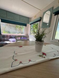 Campings Mobil Home dans propriete privee : photos des chambres