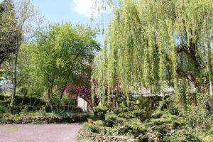 Maisons de vacances Gite de Beltaine en Broceliande SPA et bain nordique : photos des chambres