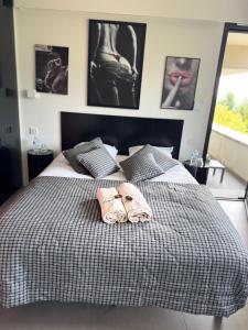 B&B / Chambres d'hotes Villa Hirondelles 35 : photos des chambres