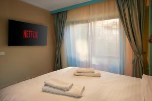 Lapusneanu Central Apartments