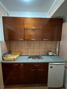 APARTMENT 02Villa KRIVOKAPIC