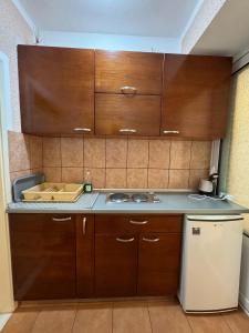 APARTMENT 02Villa KRIVOKAPIC