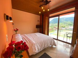 Cabañas Armonía y Jardín de Orquídeas
