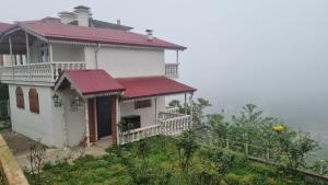 Peace in the city center