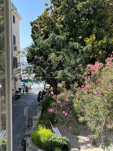 Magnolia Apartments Piran