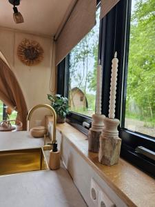 Tiny House De Bosksjonger