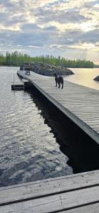 Kangassaari - The Kingdom of Peace