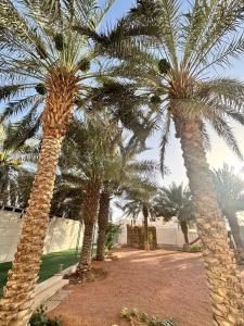 A big house -Isteraha-